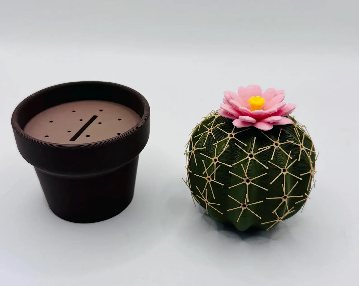 Cactus Salt and Pepper Shaker Set - Forgecore Design