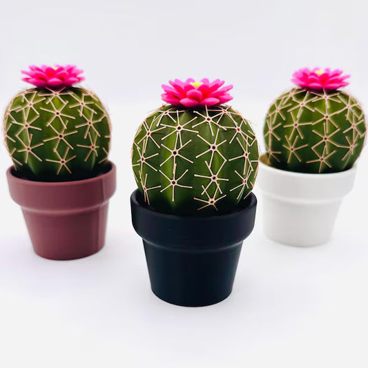 Cactus Salt and Pepper Shaker Set - Forgecore Design
