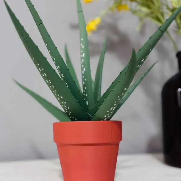 Aloe Vera Pen Plant: 3D Printed Functional Aloe Vera